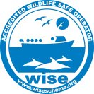 WiSe Scheme Accreditation