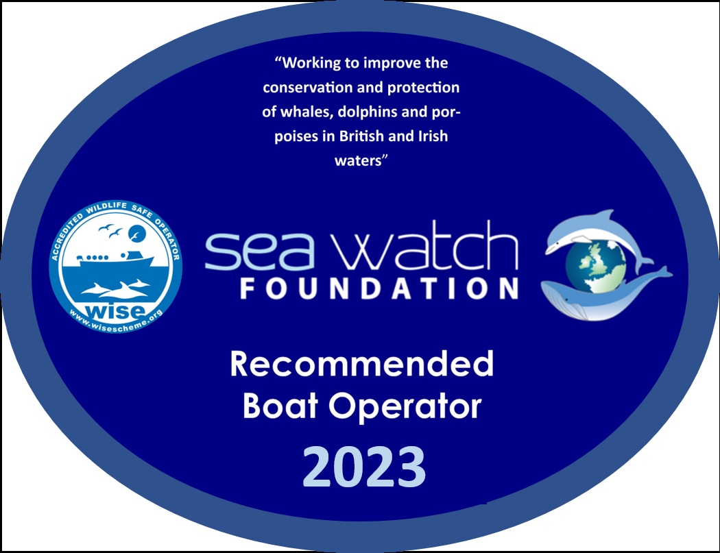 Seawatch Foundation (2)